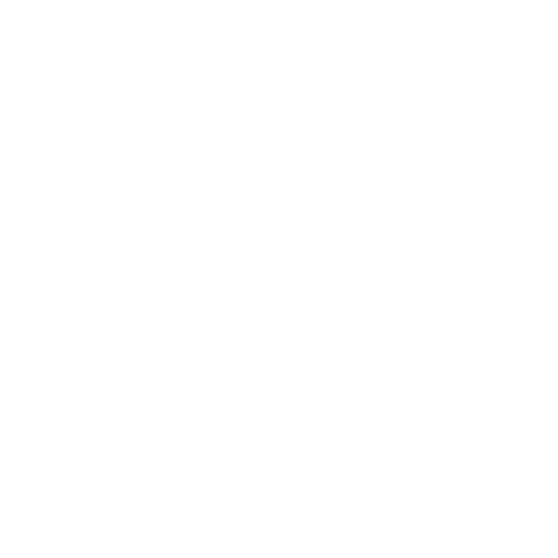 light logo